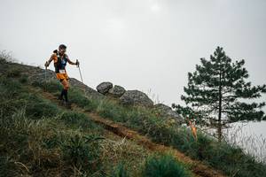 BIB: 
                            <button type="button" onclick="openModal(25996171)" class="btn btn-primary btn-sm float-right btn-popup" data-toggle="modal" data-target=".modal-high-quality">
                        <i class="fas fa-shopping-cart"></i> Add to Cart
                    </button>
                                            <button type="button" onclick="isThisMe(25996171, true)" class="btn btn-success btn-sm float-right btn-popup btn-isme hidden" data-toggle="tooltip" data-placement="bottom" title="นี่คือรูปของคุณใช่ไหม คลิกที่นี่เพื่อเอาเข้าอัลบั้ม">
                        <i class="fas fa-plus"></i> Add to album
                    </button>
                    <button type="button" onclick="isThisMe(25996171, false)" class="btn btn-warning btn-sm float-right btn-popup btn-isnotme hidden">
                        <i class="fas fa-ban"></i> Remove from album
                    </button>